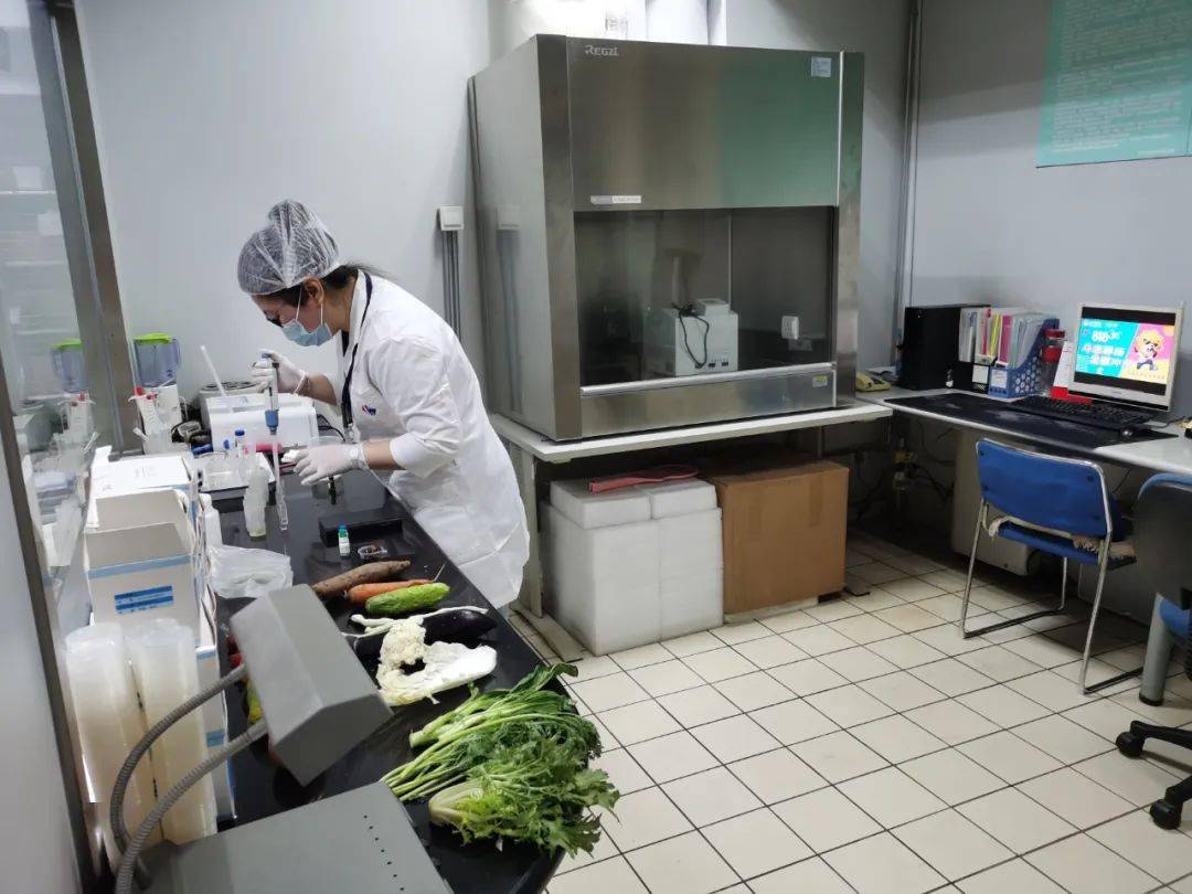 茶陵食品检测实验室装修方案